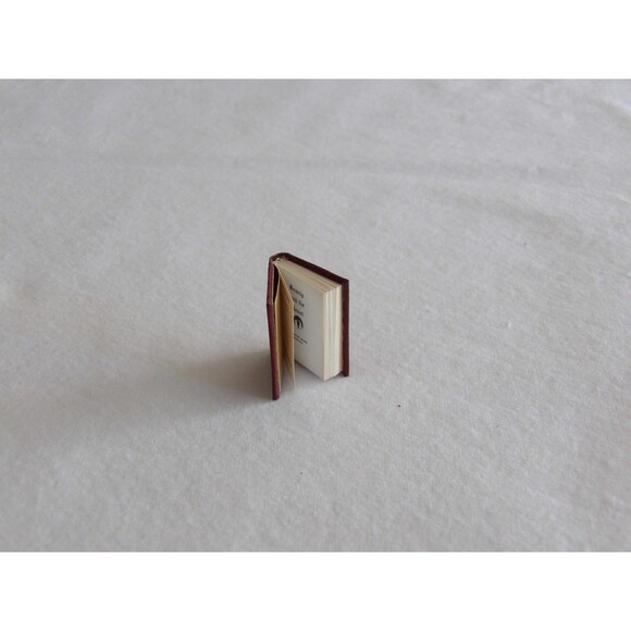 Dollhouse Miniature Book Beauty And The Beast #170? Of 300 Barbara Raheb - Picture 8 of 14